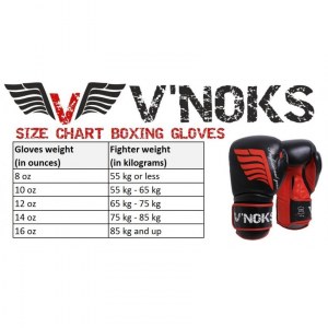 Боксерские перчатки V`Noks Inizio 