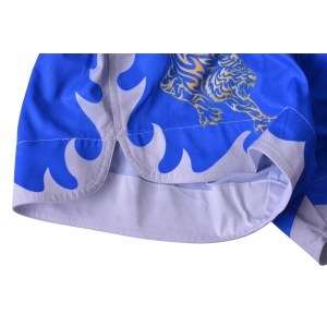 Шорты BERSERK MUAY THAI FIGHTER blue (TF8900Blu)