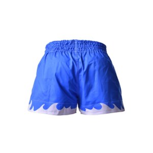 Шорты BERSERK MUAY THAI FIGHTER blue (TF8900Blu)