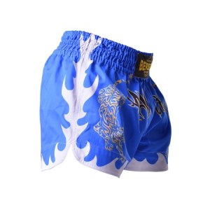 Шорты BERSERK MUAY THAI FIGHTER blue (TF8900Blu)